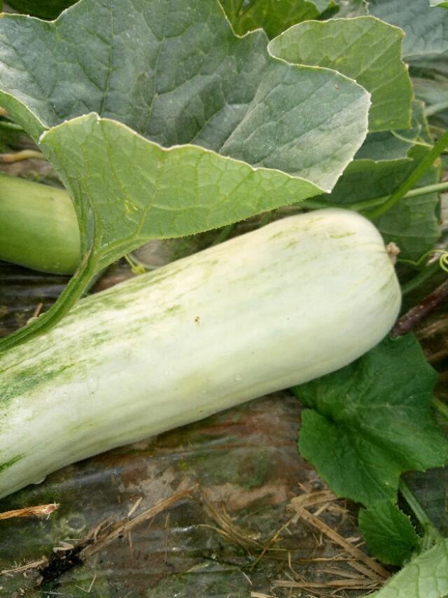 潍坊网站建设全攻略:轻松打造专业官网,提升品牌形象与业务增长 潍坊网站建设全攻略:轻松打造专业官网,提升品牌形象与业务增长