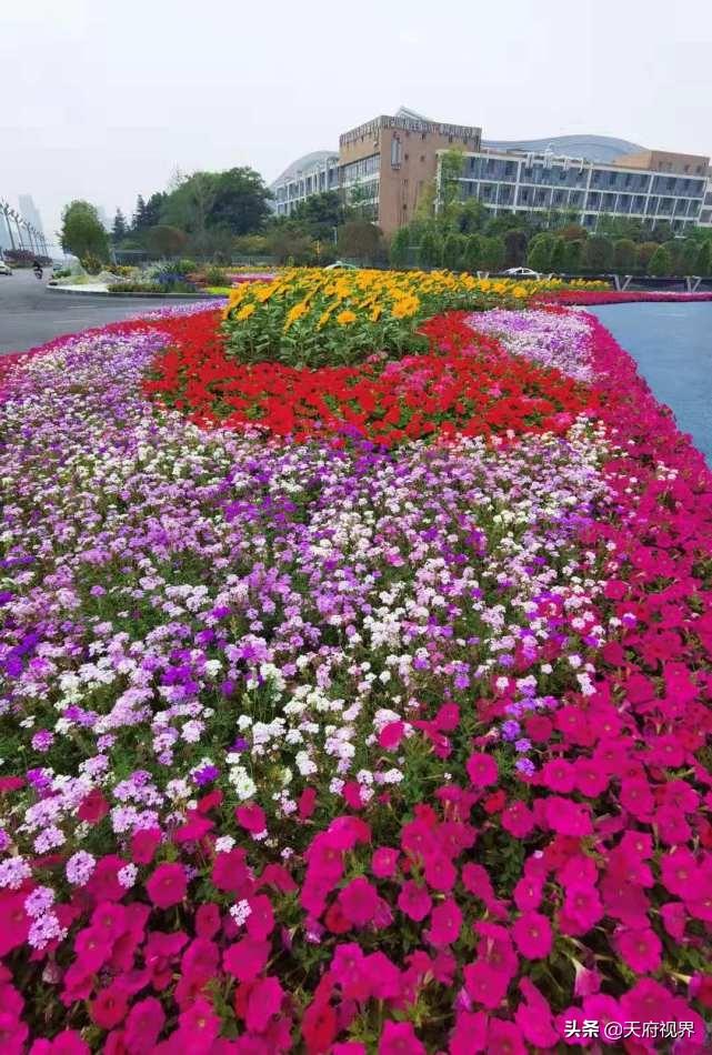 专题页设计终极指南:打造高转化沉浸式体验的7大核心策略