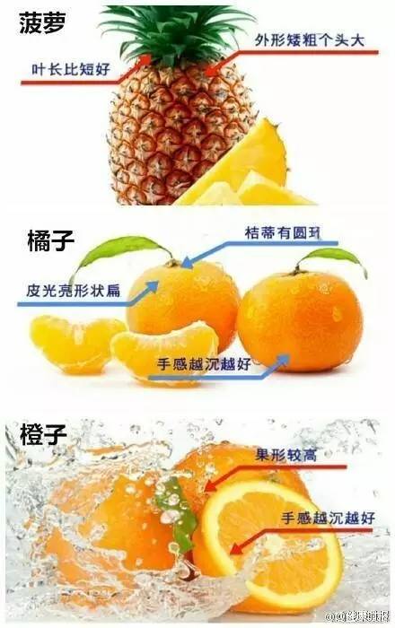 水果网站挑选指南:网购新鲜水果不踩坑的实用技巧