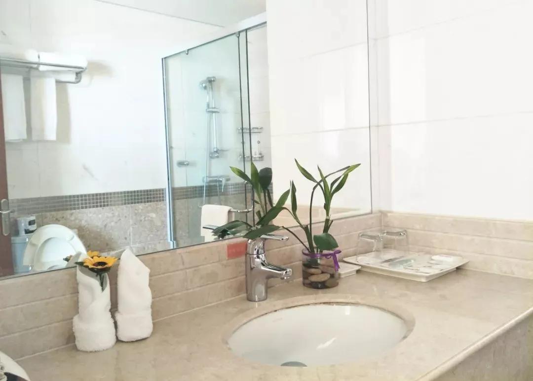 海南网站建设全攻略：从需求分析到案例解析，助您轻松打造专业网站