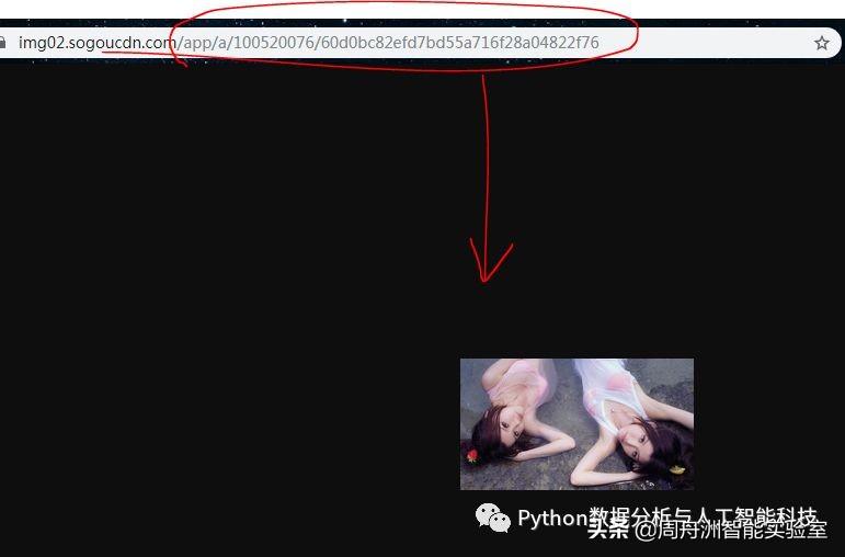搜索引擎的工作原理全解析:从抓取到排名的完整流程揭秘 搜索引擎的工作原理全解析:从抓取到排名的完整流程揭秘