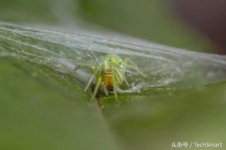 设计网页多少钱?从几百到几万,帮你避开价格陷阱,选对不花冤枉钱 设计网页多少钱?从几百到几万,帮你避开价格陷阱,选对不花冤枉钱